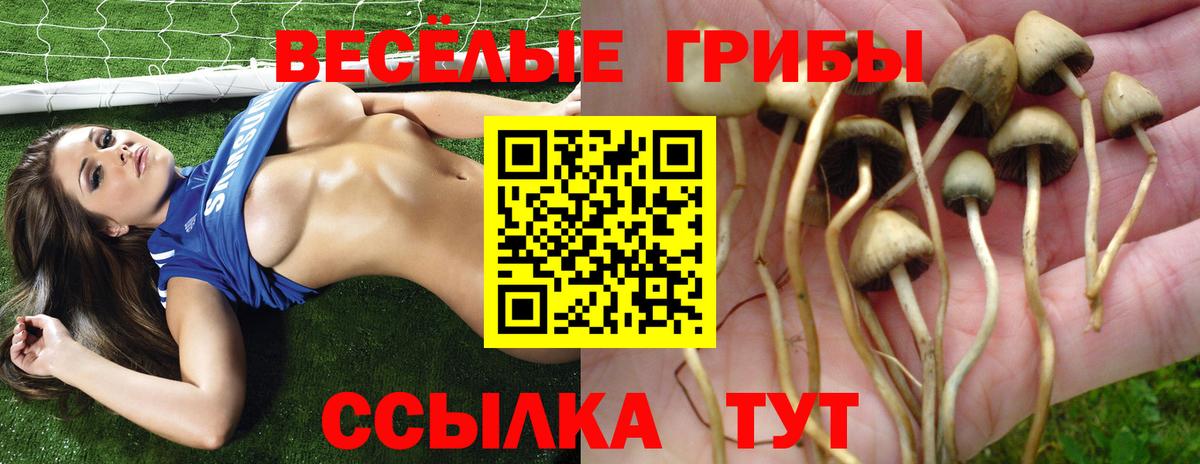 Псилоцибиновые грибы мицелий Нефтеюганск