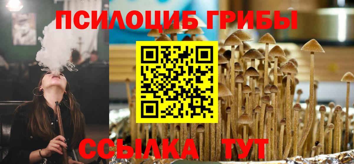 Галлюциногенные грибы Cubensis  Псилоцибиновые грибы Cubensis  Нефтеюганск  Вход с VPN 